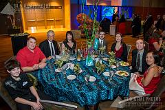 IMG_0480_20130216