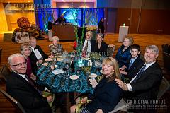 IMG_0492_20130216